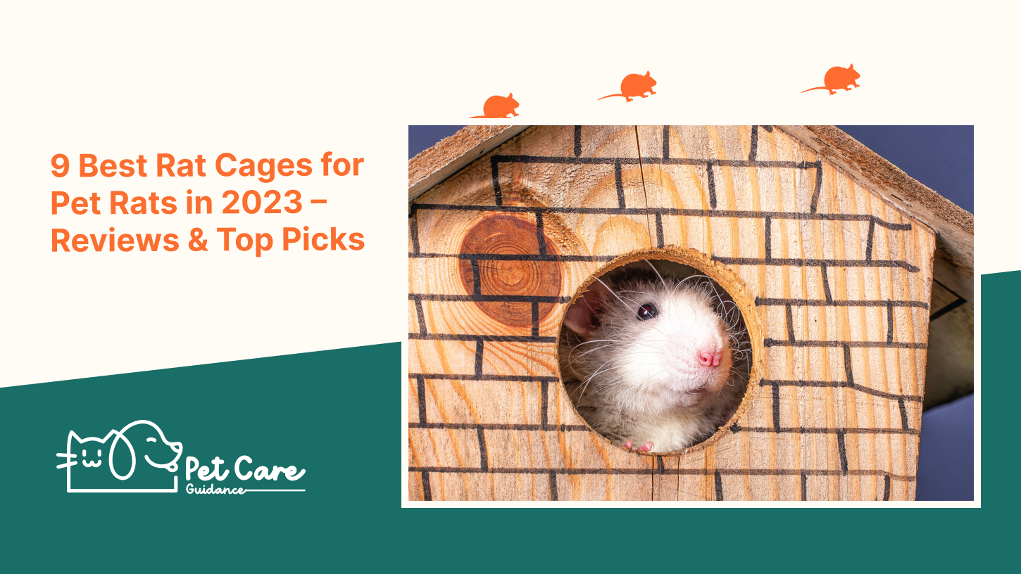 9 Best Rat Cages for Pet Rats in 2023 – Reviews & Top Picks