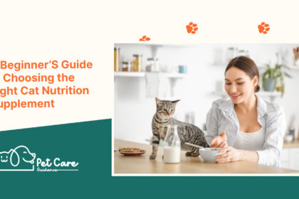 A Beginner's Guide to Choosing the Right Cat Nutrition Supplement