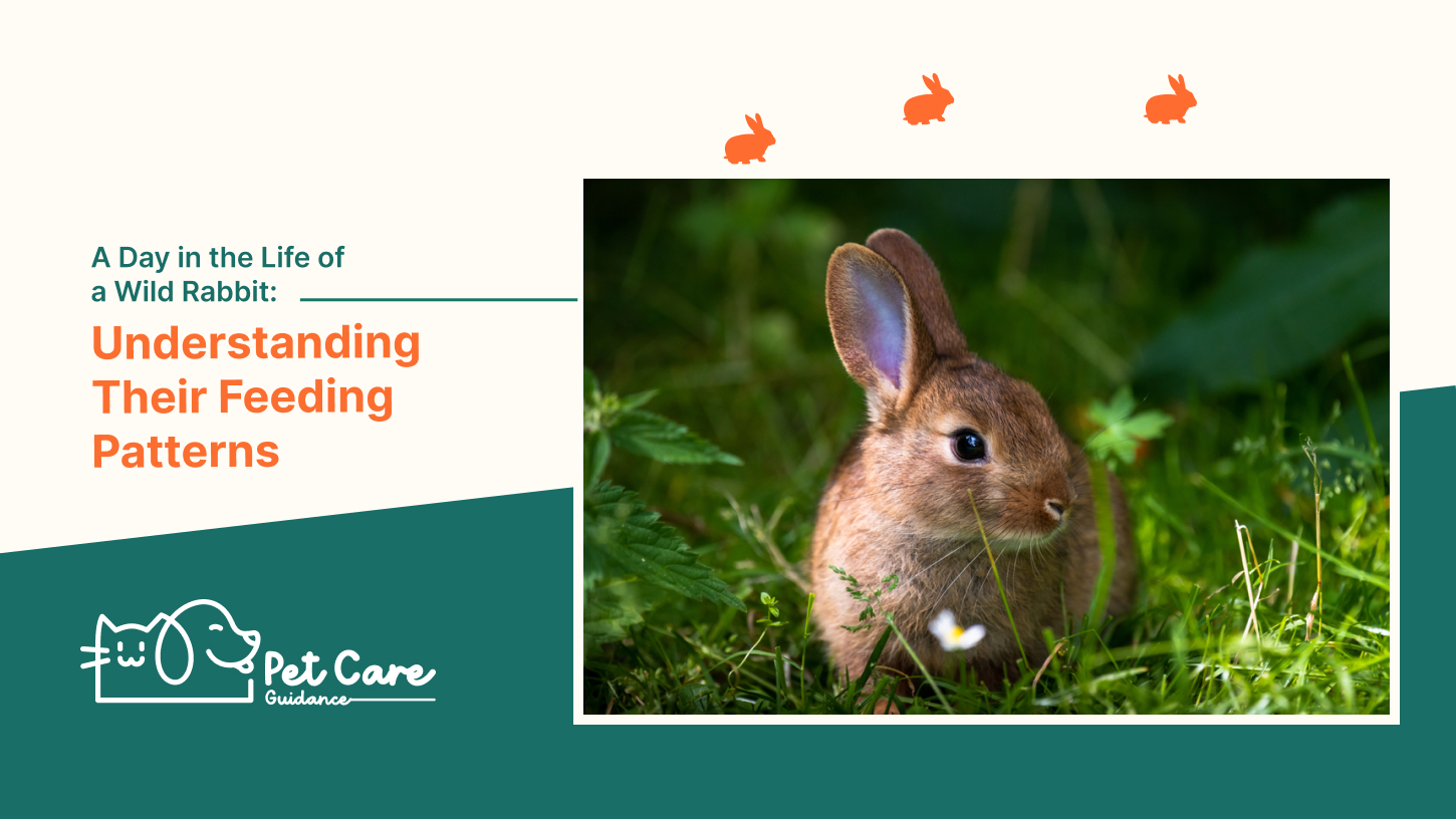 A Day in the Life of a Wild Rabbit_ Understanding Their Feeding Patterns