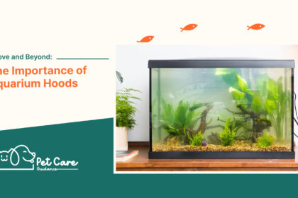 Above and Beyond The Importance of Aquarium Hoods