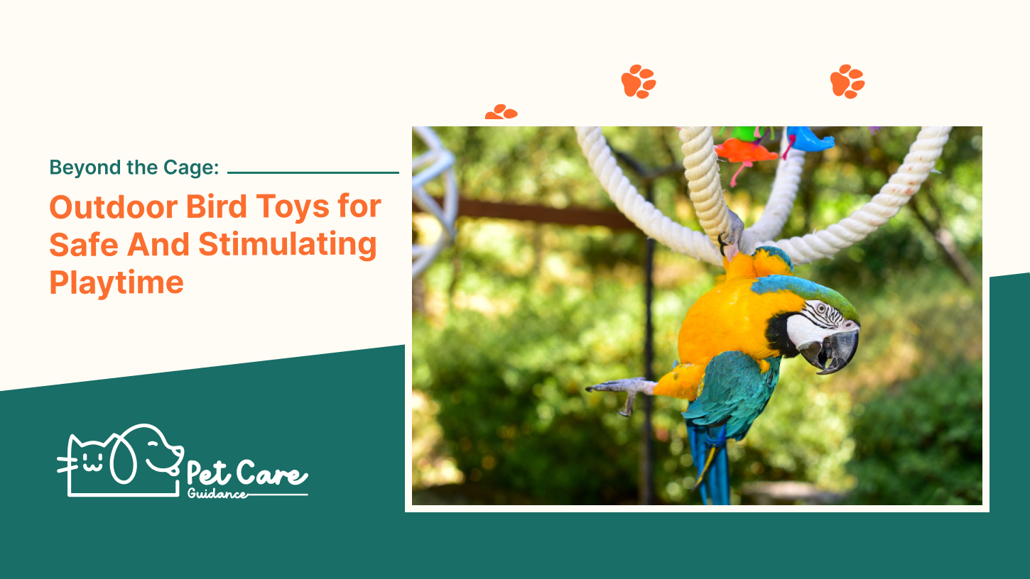 Beyond the Cage Outdoor Bird Toys for Safe And Stimulating Playtime