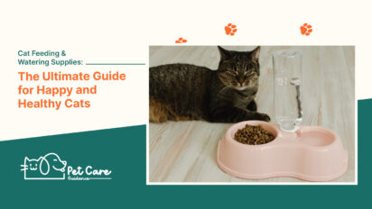 Cat Feeding & Watering Supplies