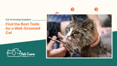 Cat Grooming Supplies Find the Best Tools for a Well-Groomed Cat