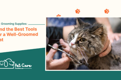 Cat Grooming Supplies Find the Best Tools for a Well-Groomed Cat