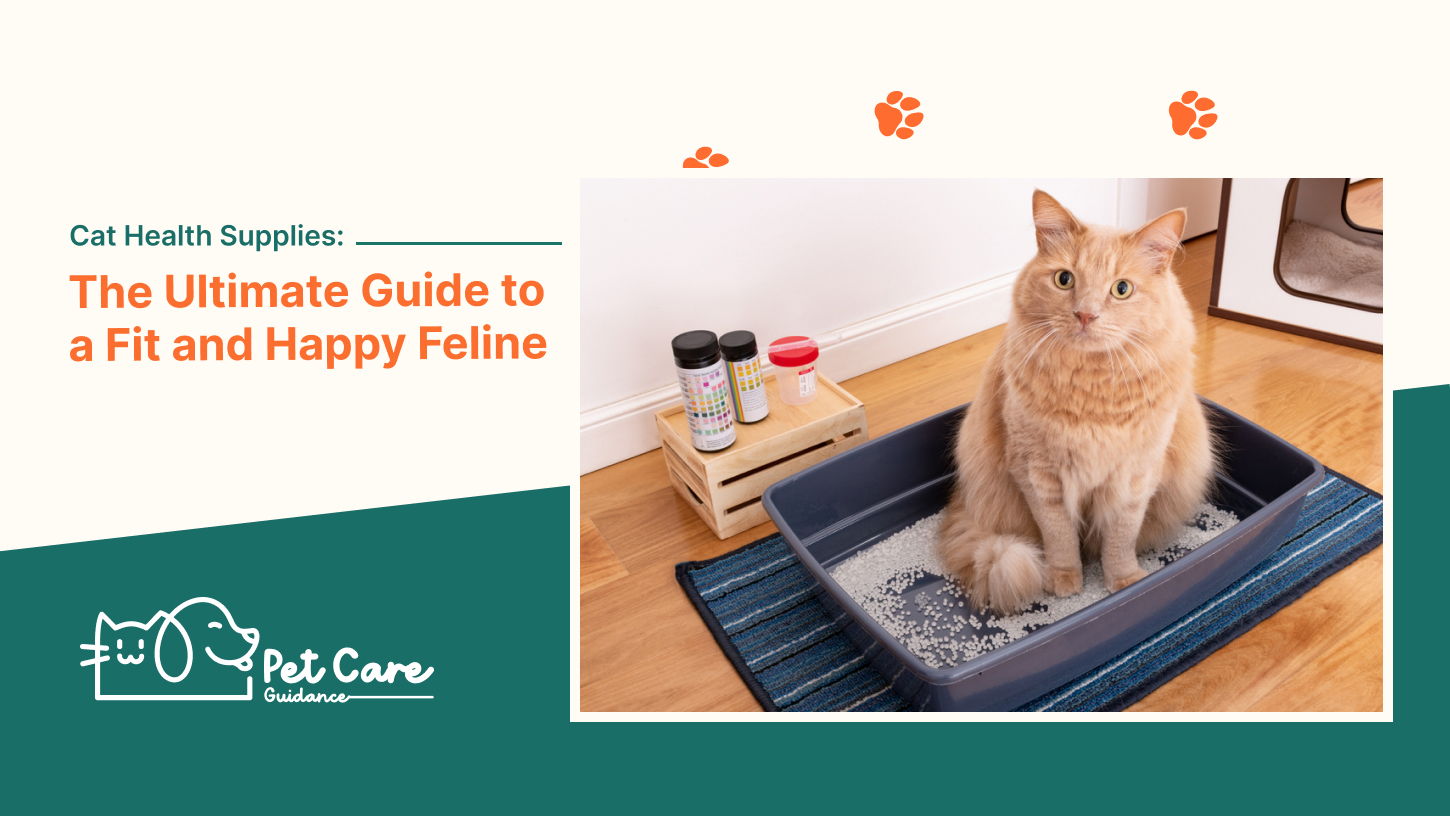Cat Health Supplies The Ultimate Guide to a Fit and Happy Feline