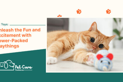 Cat Toys Unleash the Fun and Excitement with Power-Packed Playthings