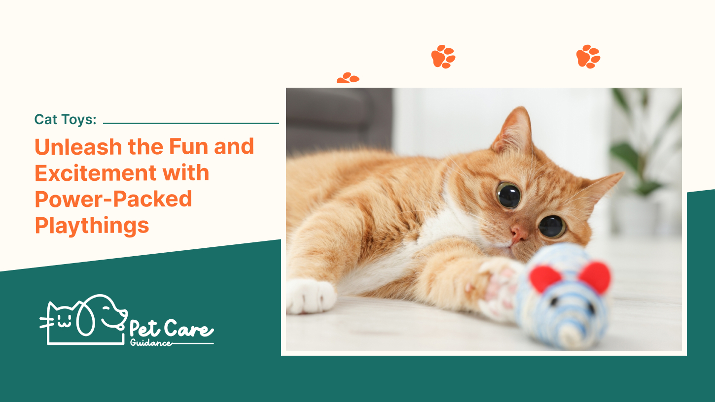 Cat Toys Unleash the Fun and Excitement with Power-Packed Playthings