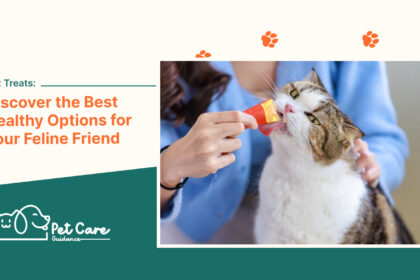 Cat Treats Discover the Best Healthy Options for Your Feline Friend