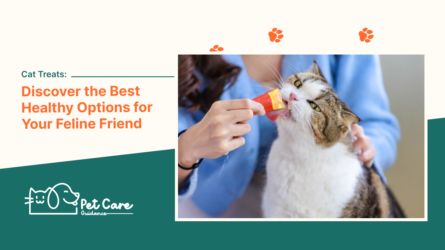 Cat Treats Discover the Best Healthy Options for Your Feline Friend