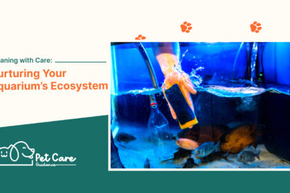 Cleaning with Care Nurturing Your Aquarium’s Ecosystem