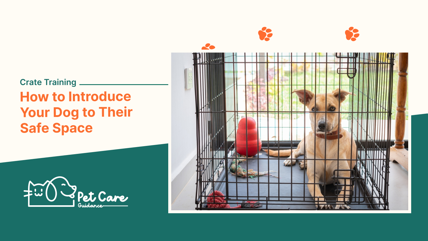 Crate Training How to Introduce Your Dog to Their Safe Space