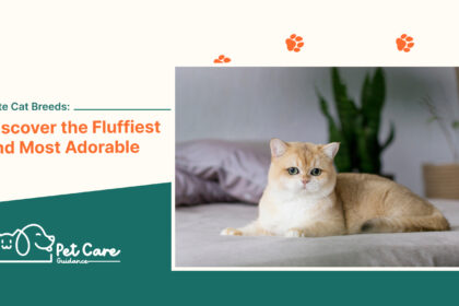 Cute Cat Breeds Discover the Fluffiest and Most Adorable