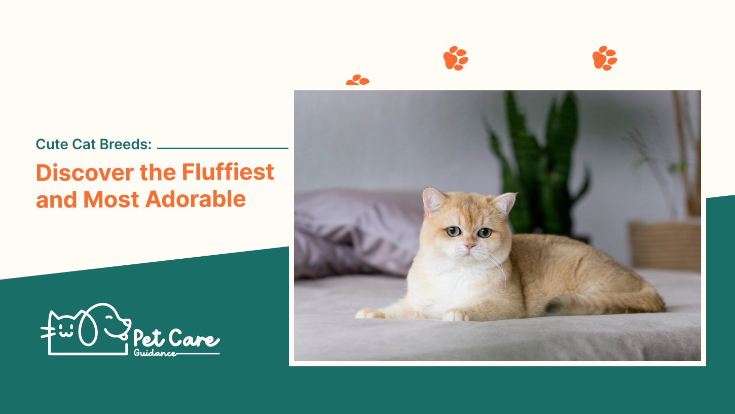 Cute Cat Breeds Discover the Fluffiest and Most Adorable