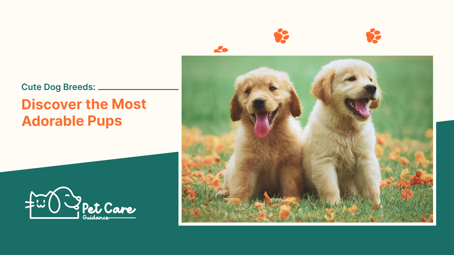 Cute Dog Breeds Discover the World’s Adorable Pups