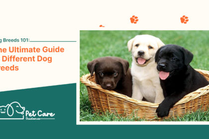 Dog Breeds 101 The Ultimate Guide to Different Dog Breeds