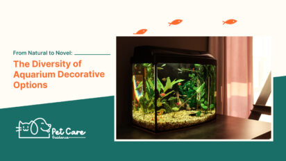 From Natural to Novel The Diversity of Aquarium Decorative Options