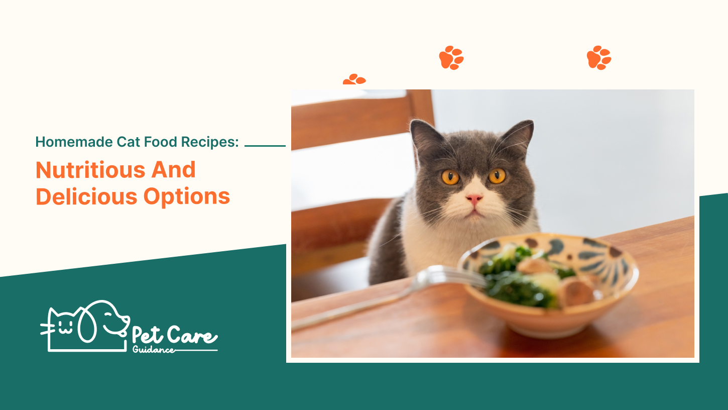 Homemade Cat Food Recipes Nutritious And Delicious Options