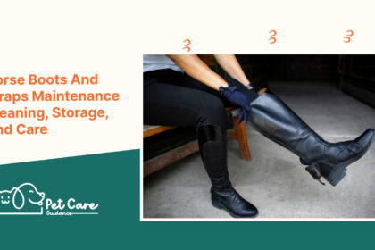 Horse Boots And Wraps Maintenance Cleaning, Storage, And Care