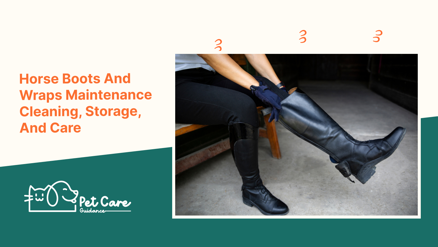 Horse Boots And Wraps Maintenance Cleaning, Storage, And Care