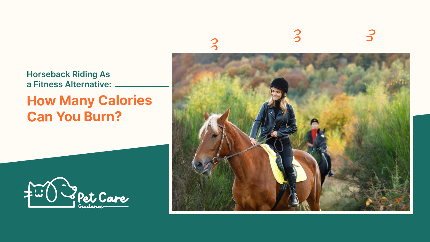 Horseback Riding As a Fitness Alternative: How Many Calories Can You Burn?