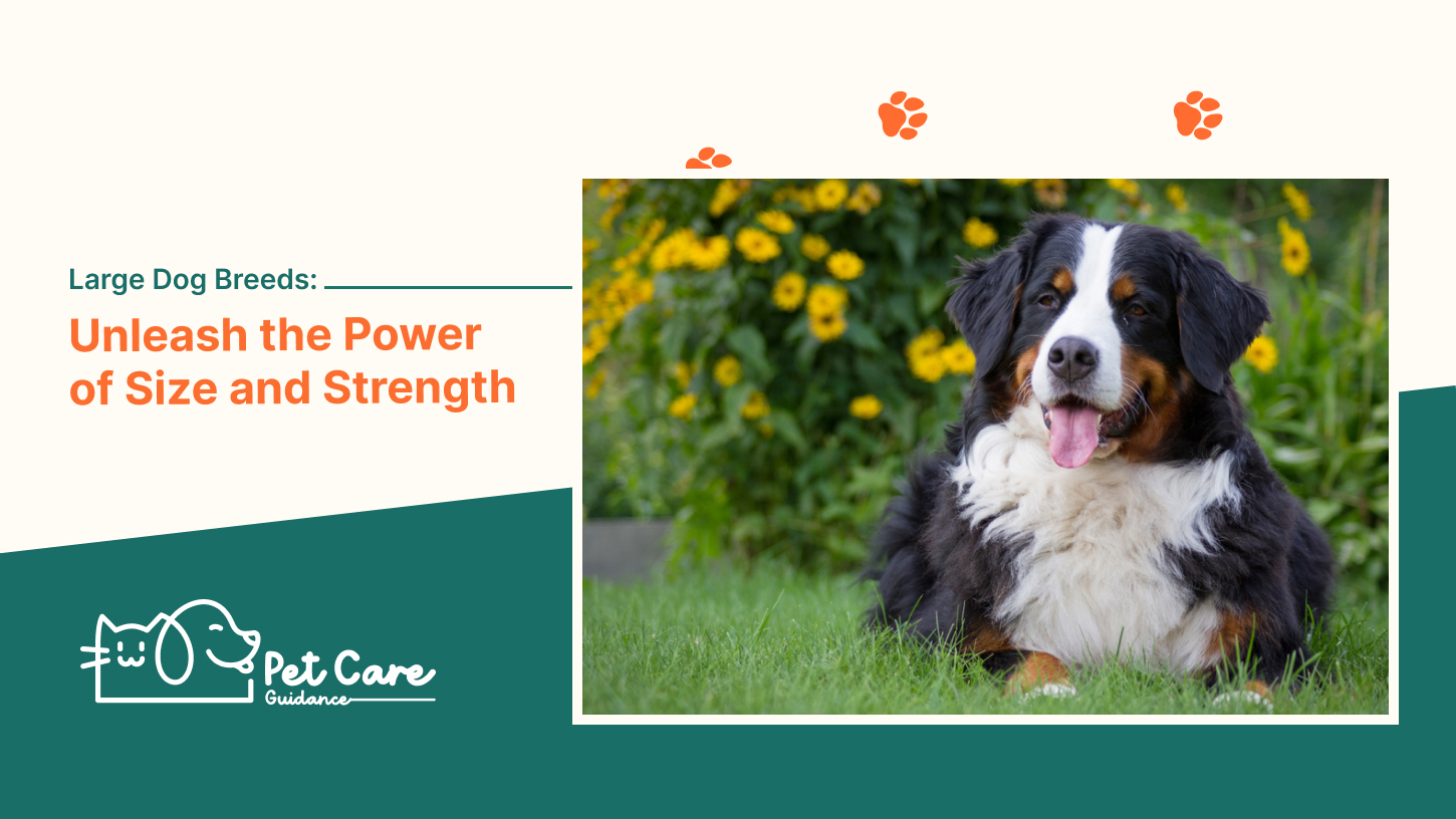 Large Dog Breeds Unleash the Power of Size and Strength