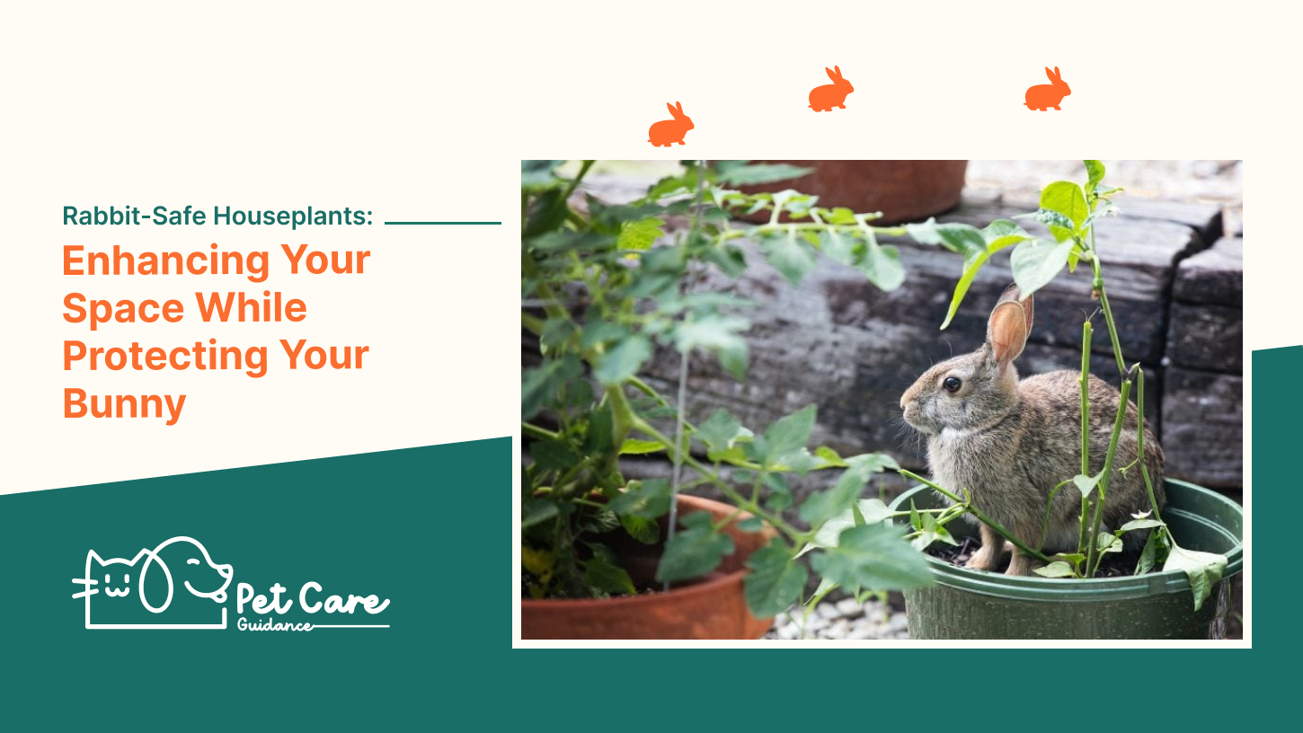 Rabbit-Safe Houseplants: Enhancing Your Space While Protecting Your Bunny