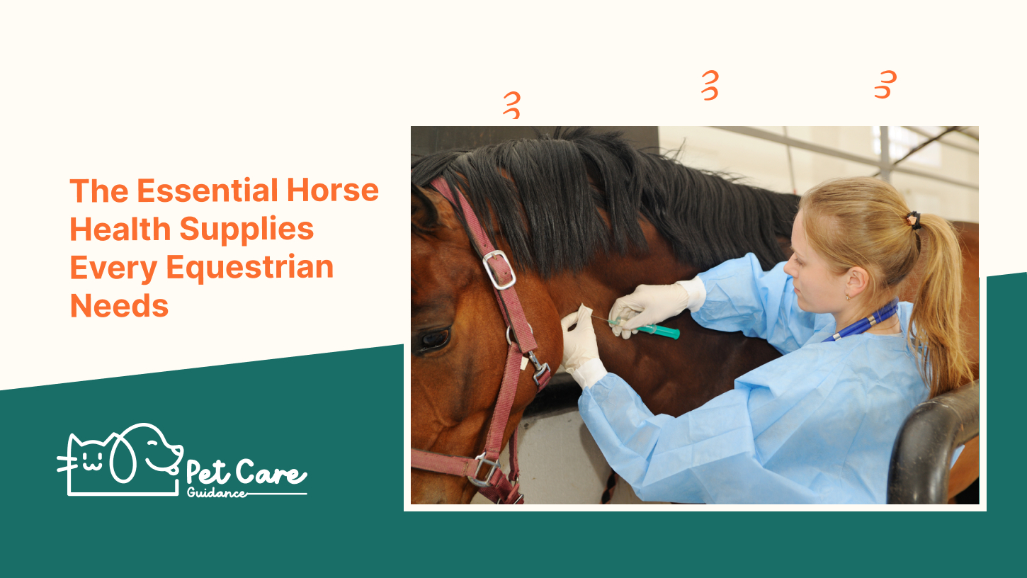 The Essential Horse Health Supplies Every Equestrian Needs
