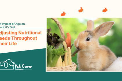 The Impact of Age on a Rabbit’s Diet: Adjusting Nutritional Needs Throughout Their Life