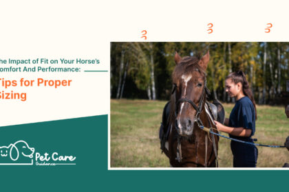 The Impact of Fit on Your Horse’s Comfort And Performance: Tips for Proper Sizing