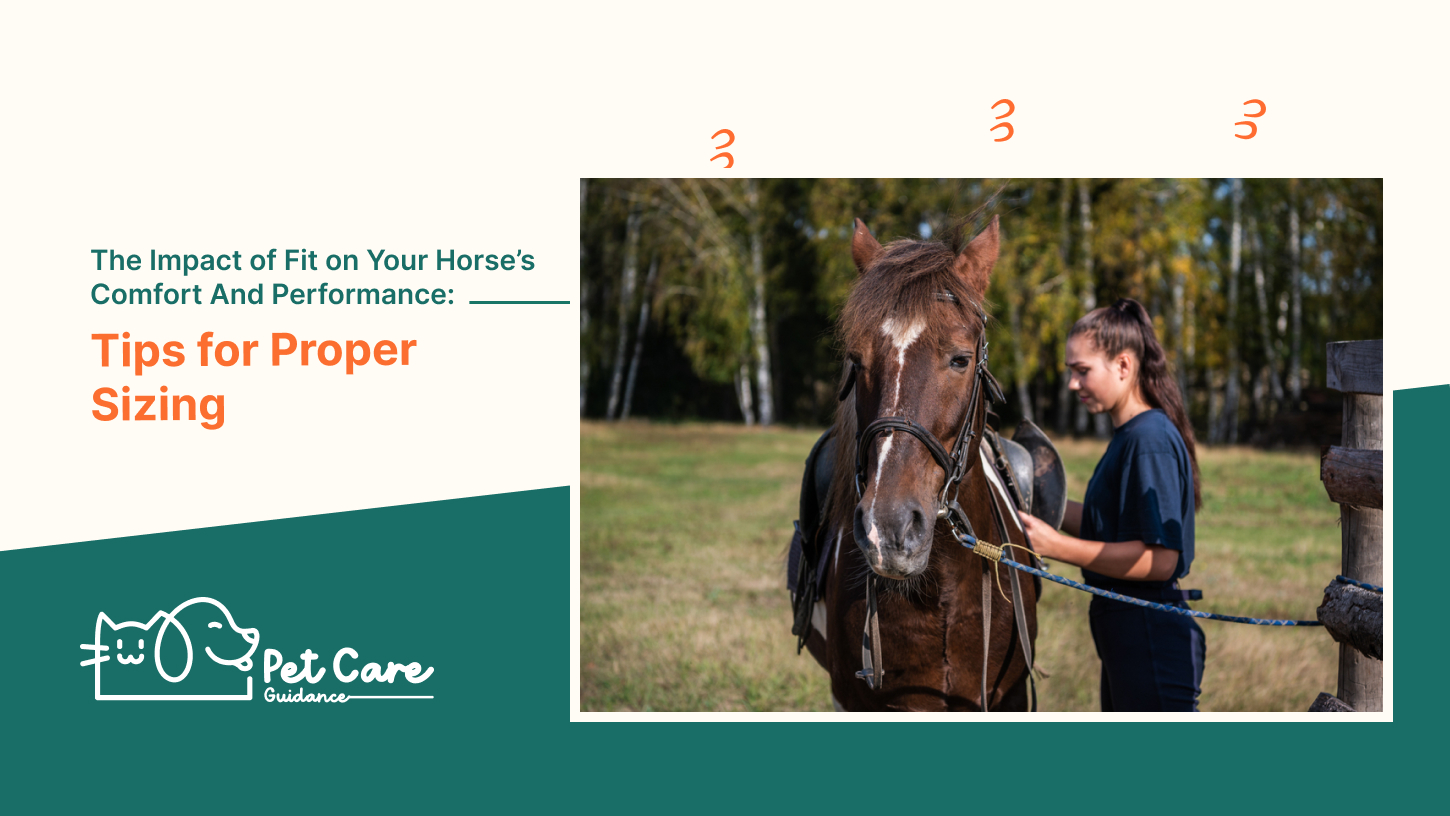 The Impact of Fit on Your Horse’s Comfort And Performance: Tips for Proper Sizing