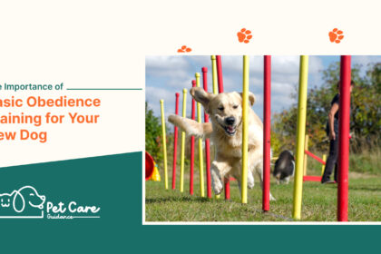 The Importance of Basic Obedience Training for Your New Dog