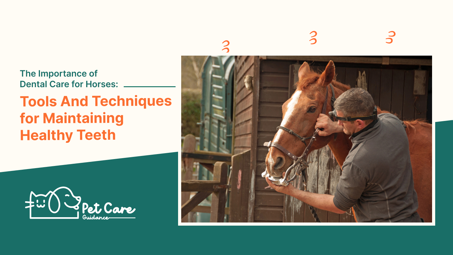 The Importance of Dental Care for Horses: Tools And Techniques for Maintaining Healthy Teeth