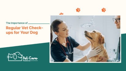 The Importance of Regular Vet Check-ups for Your Dog