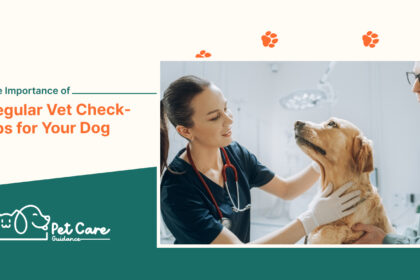 The Importance of Regular Vet Check-ups for Your Dog
