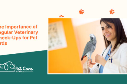The Importance of Regular Veterinary Check Ups for Pet Birds