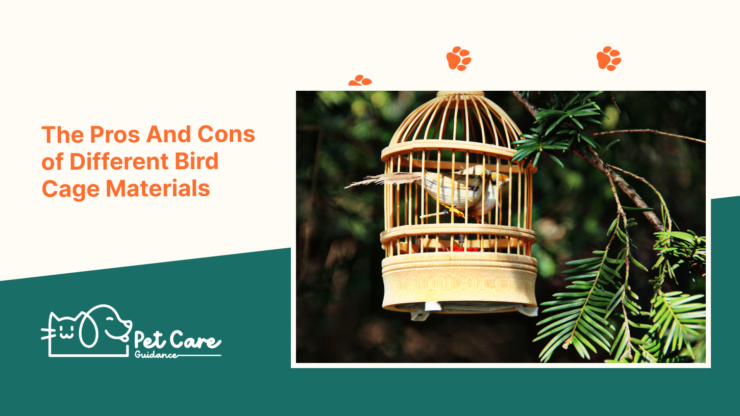 The Pros And Cons of Different Bird Cage Materials