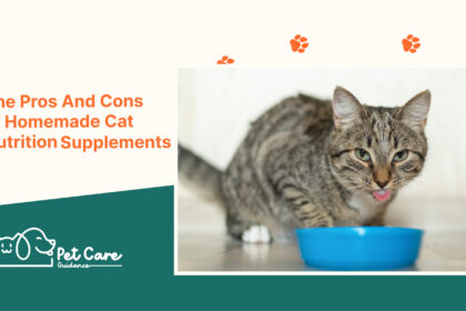 The Pros And Cons of Homemade Cat Nutrition Supplements
