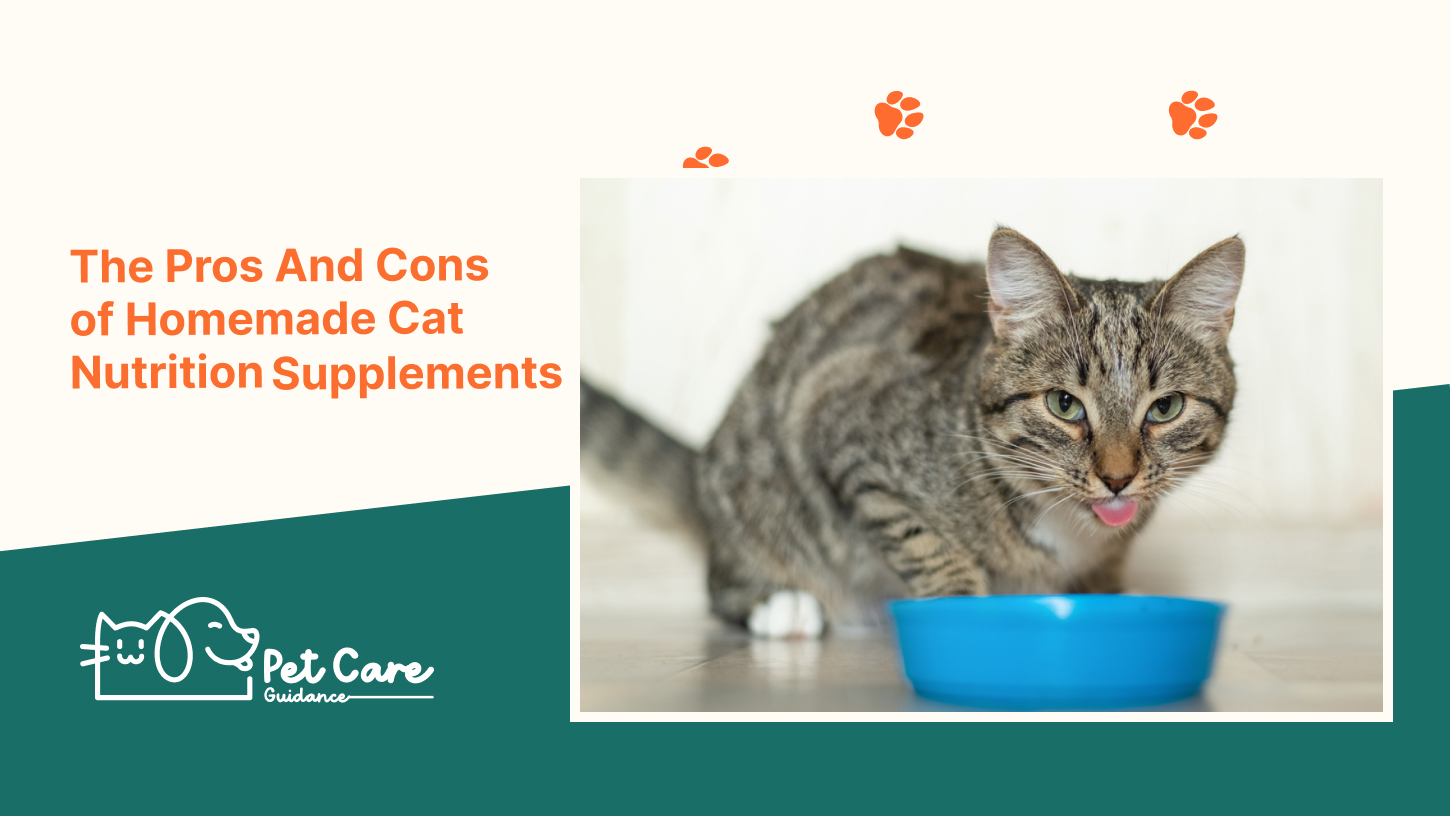 The Pros And Cons of Homemade Cat Nutrition Supplements