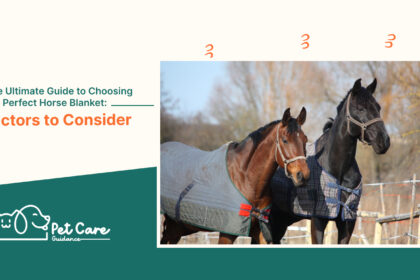 The Ultimate Guide to Choosing the Perfect Horse Blanket Factors to Consider
