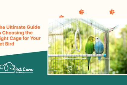 The Ultimate Guide to Choosing the Right Cage for Your Pet Bird