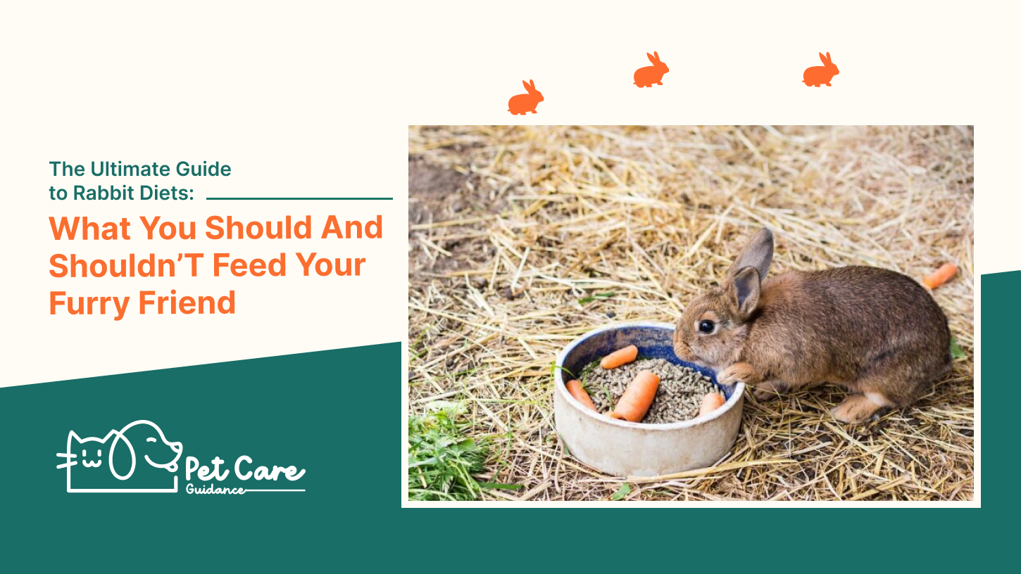 The Ultimate Guide to Rabbit Diets: What You Should And Shouldn’T Feed Your Furry Friend