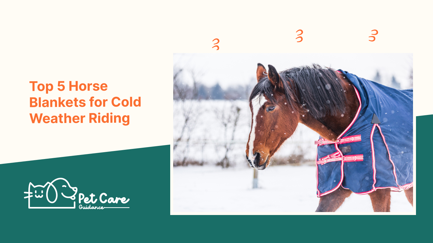 Top 5 Horse Blankets for Cold Weather Riding