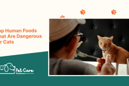 Top Human Foods That Are Dangerous for Cats