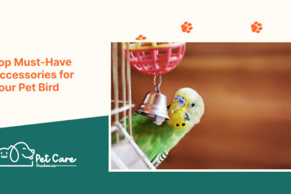 Top Must-Have Accessories for Your Pet Bird