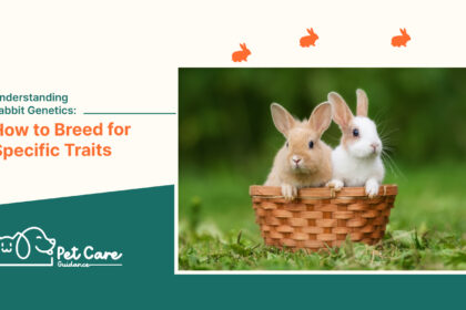 Understanding Rabbit Genetics: How to Breed for Specific Traits