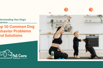 Understanding Your Dog’S Behaviour Top 10 Common Dog Behavior Problems And Solutions